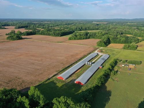 Mount Hope Broilers : Mount Hope : Lawrence County : Alabama