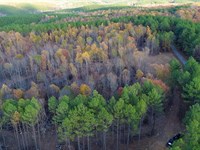 Sassafrass Hill : Hohenwald : Perry County : Tennessee