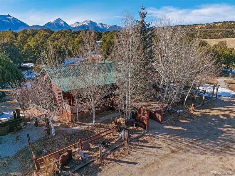 Natural Pocket of Trees on 2.08 Acr : Salida : Chaffee County : Colorado