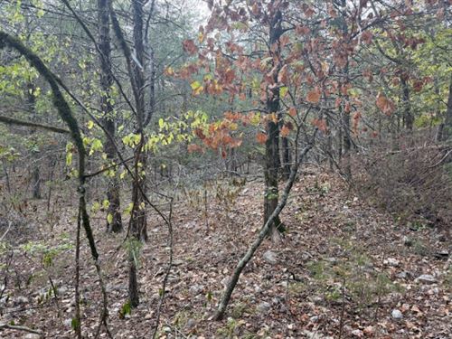 Residential Lot Near Lakes & Spring : Cherokee Village : Sharp County : Arkansas
