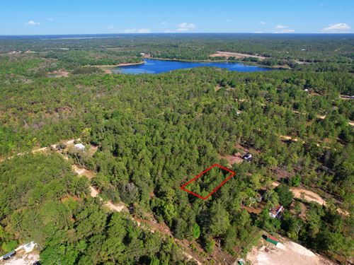 Peace in The Pines : Interlachen : Putnam County : Florida