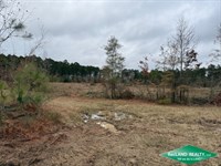 Clear Cut for Home Sites : Marion : Union Parish : Louisiana