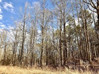 .69 Acres in Gated Lake Community : Saulsbury : Hardeman County : Tennessee