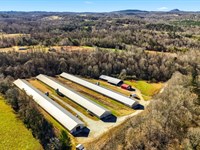 Price Reduced, Wing Breeder Farm : Vale : Catawba County : North Carolina