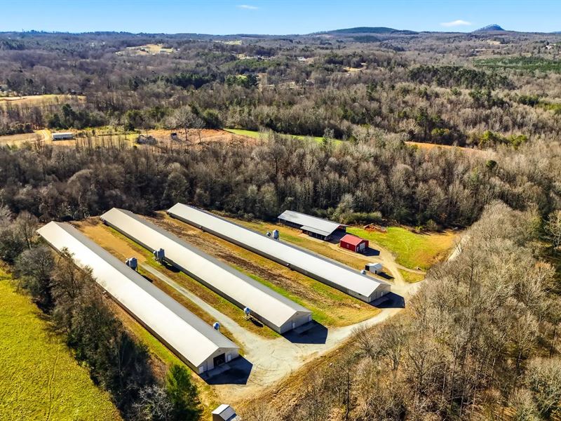 Price Reduced, Wing Breeder Farm : Vale : Catawba County : North Carolina