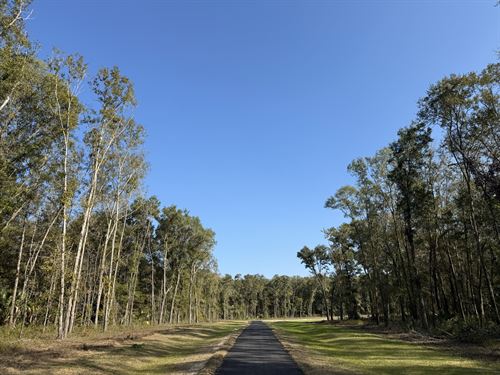 Irvine Acres Lot 7, 10 Acres : Reddick : Marion County : Florida