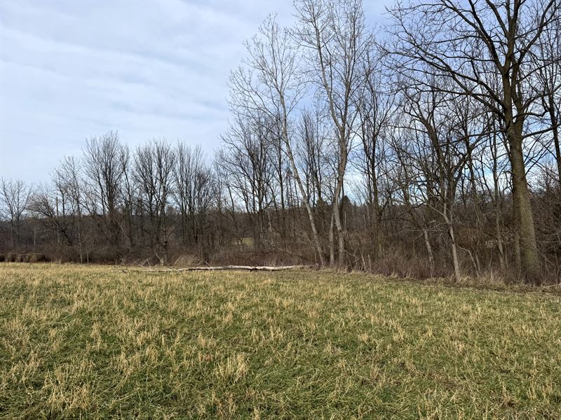 Meadows Near Letchworth State Park : Nunda : Livingston County : New York
