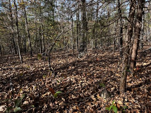 Natural Wooded Lot in Ozarks : Cherokee Village : Fulton County : Arkansas