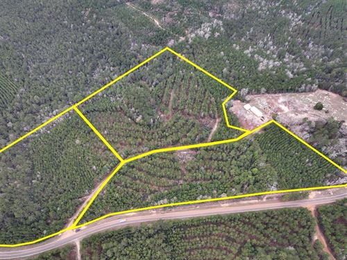 11 Acres, T-3, County Road 1019 : Newton : Texas