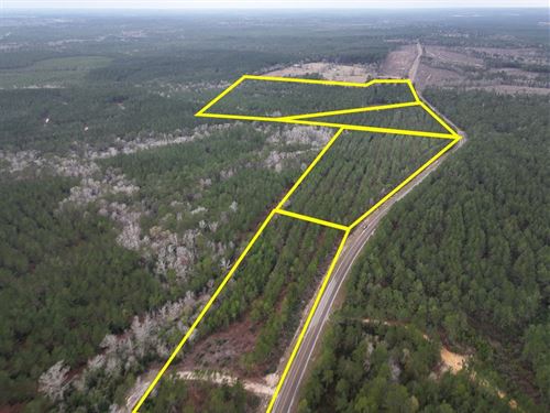 13 Acres, T-5, FM 1012, 02450 : Newton : Texas