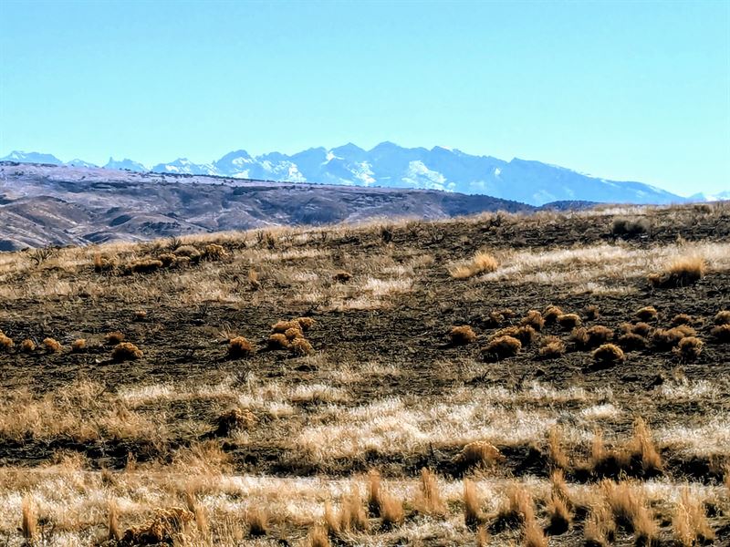 2.35 Acres of Pure Isolation : Elko : Elko County : Nevada