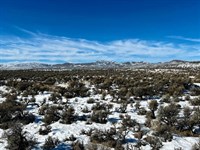 Private 1.03 Acre Nevada Retreat : Elko : Nevada