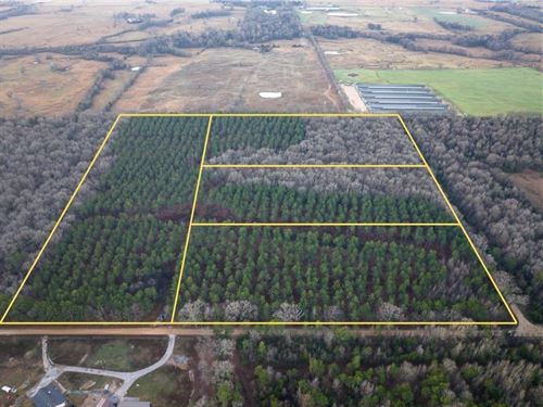 10 Acres, T-2, County Road 4302 : De Kalb : Bowie County : Texas