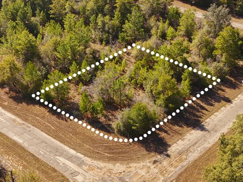 Near Lake, No HOA, Owner Financing : Chipley : Washington County : Florida