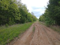 Ozark Land Near Lakes & Rivers : Horseshoe Bend : Izard County : Arkansas