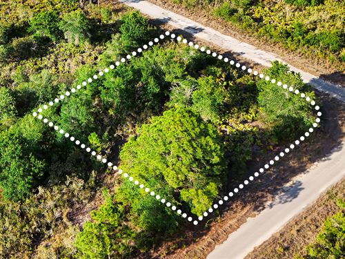 Quiet, Corner Lot, Owner Financing : Lake Placid : Highlands County : Florida
