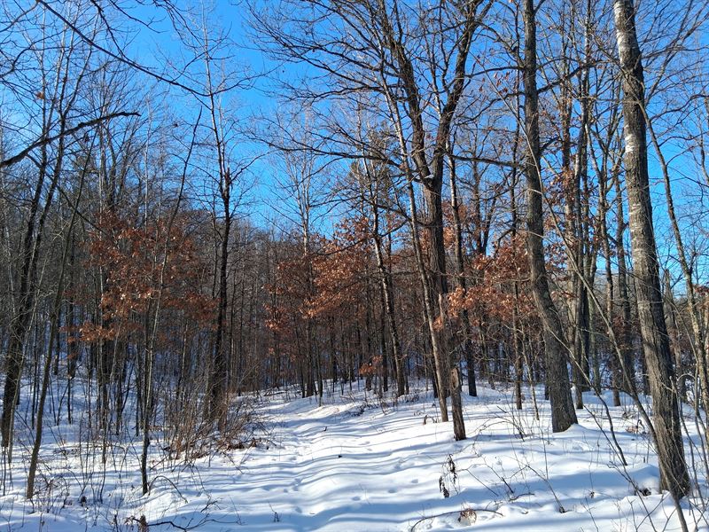 4 Acres Near Trego & Spooner : Trego : Washburn County : Wisconsin