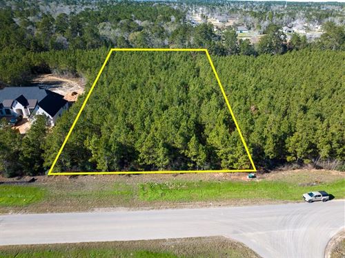 2 Acres, 15715 Ridge Rock Rd : Willis : Montgomery County : Texas