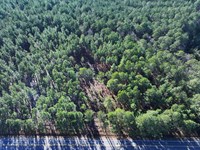 Lot 2 Wooded Rural Residential Lot : Fairmont : Robeson County : North Carolina