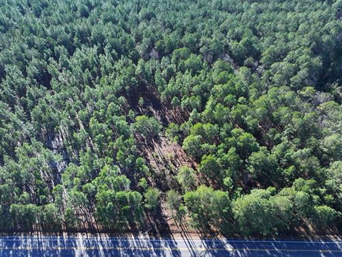 Lot 2 Wooded Rural Residential Lot : Fairmont : Robeson County : North Carolina