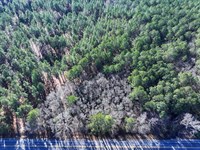 Lot 5 Rural Residential Lot : Fairmont : Robeson County : North Carolina