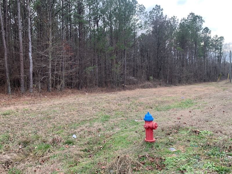 Steele Station Commercial Tract : Steele : Saint Clair County : Alabama