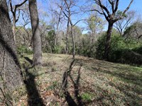 .16 Acres in Henderson County TX : Mabank : Henderson County : Texas