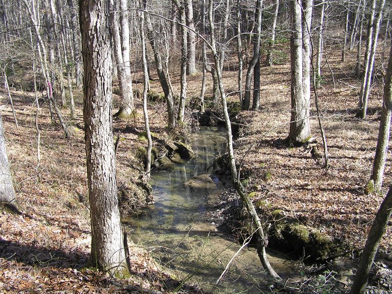 Creek, Homesite, Country, 5 Parcels : Spencer : Van Buren County : Tennessee
