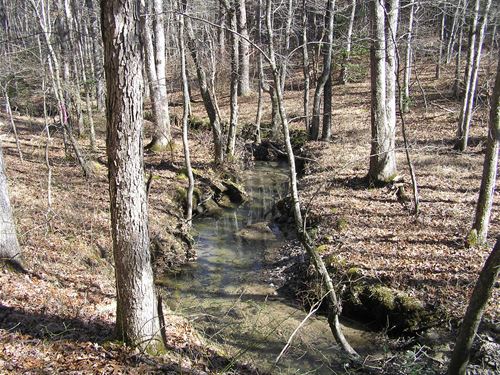 Creek, Homesite, Country, 5 Parcels : Spencer : Van Buren County : Tennessee
