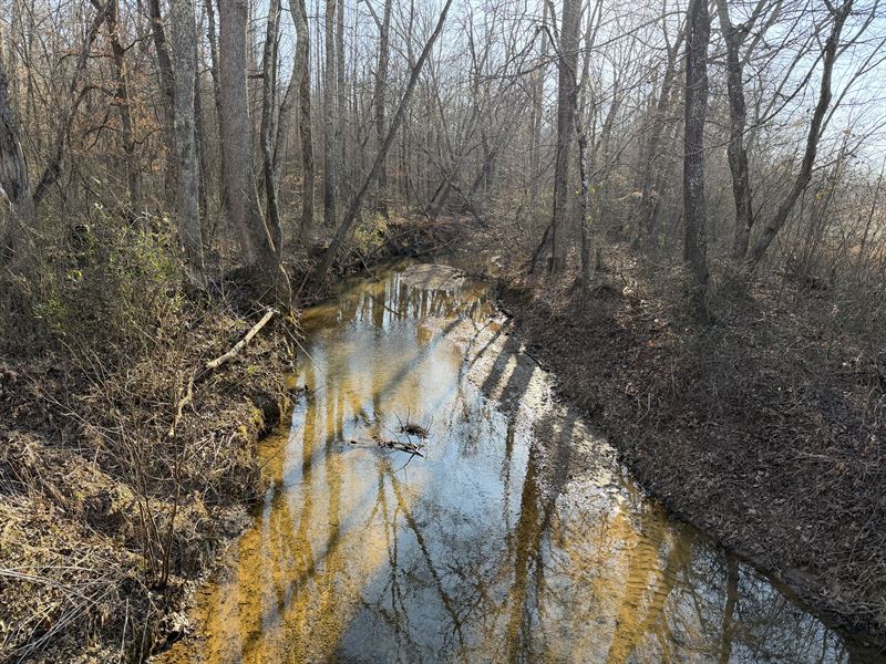 Land with Creek in TN : Morris Chapel : Hardin County : Tennessee