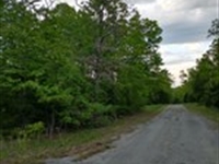 Horseshoe Bend Wooded Retreat : Horseshoe Bend : Izard County : Arkansas