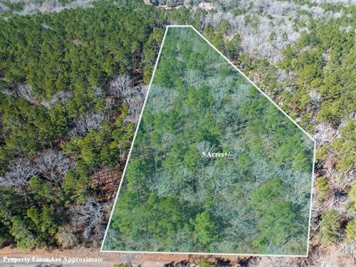 5 Acres, O'quinn Road : Pollok : Angelina County : Texas
