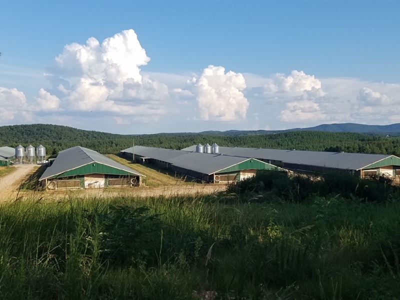 AL Poultry Farms for Sale : Heflin : Randolph County : Alabama