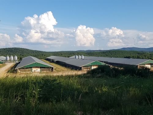 AL Poultry Farms for Sale : Heflin : Randolph County : Alabama