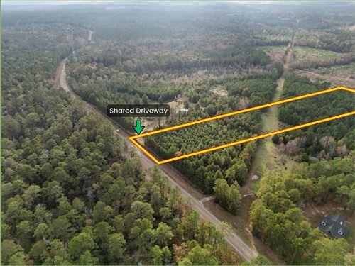 Unrestricted Homesite in Texas : Livingston : Polk County : Texas