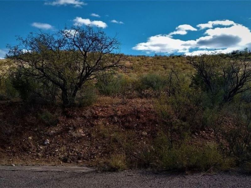 Boys, Bring Your Toys : Rio Rico : Santa Cruz County : Arizona