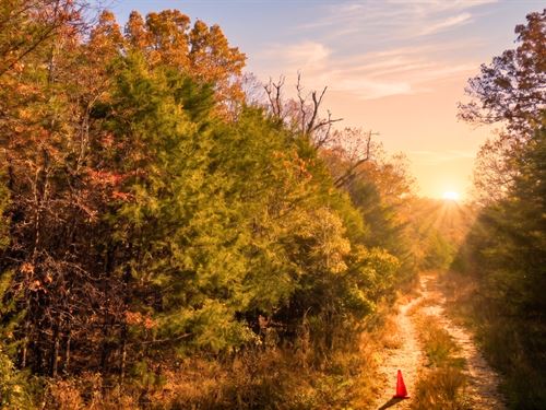 .31 Acres Near Diamond Lake : Horseshoe Bend : Izard County : Arkansas