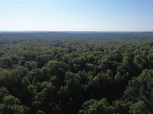Private Retreat with no Neighbors : Horseshoe Bend : Izard County : Arkansas