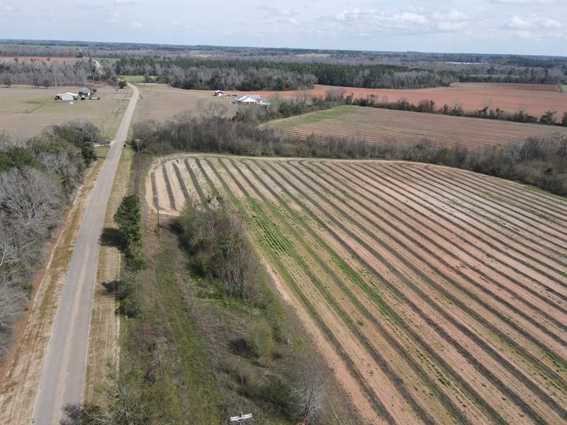 Rocky Creek Farms Lot 1 : Ashford : Houston County : Alabama