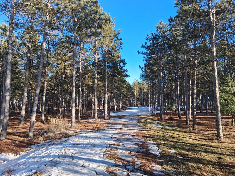 Lake Petenwell Land by Rome : Nekoosa : Adams County : Wisconsin