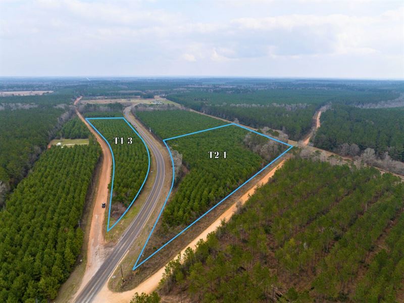5.5 Acres, Menard Chapel Road & FM : Livingston : Polk County : Texas