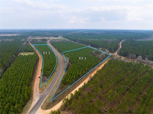10.7 Acres, FM 943 : Livingston : Polk County : Texas