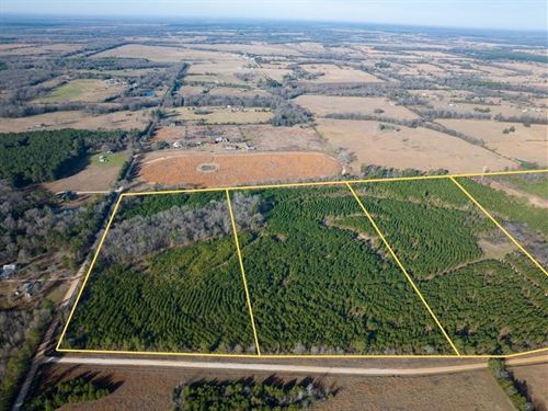 15 Acres, T-5, County Road 4245 : De Kalb : Bowie County : Texas