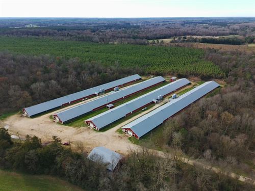 New Price, Nichols Broiler Farm : Saluda : South Carolina