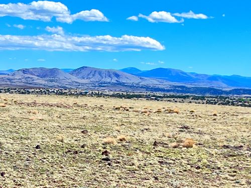 Flexible Zoning, Maximum Options : Concho : Apache County : Arizona