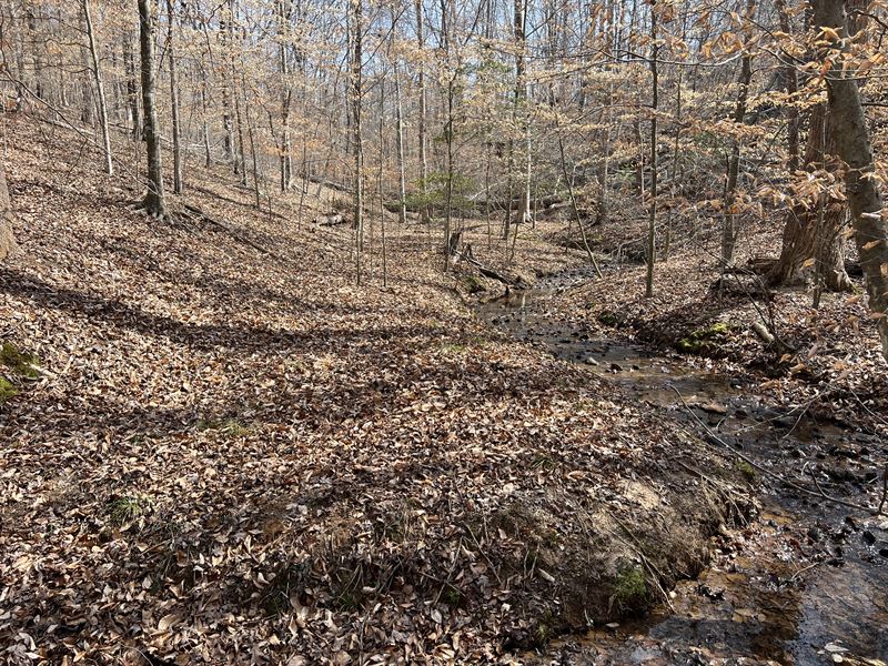 Tract B Cann Road : Anderson : Anderson County : South Carolina