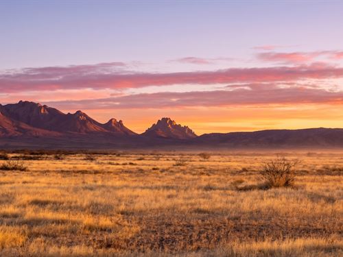 1 Acre Desert Land NM : Deming : Luna County : New Mexico