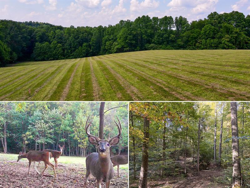 Tract 4 at Wolf Hill Estates : McArthur : Vinton County : Ohio
