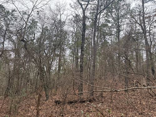 20 Ac Autauga Tract : Verbena : Autauga County : Alabama