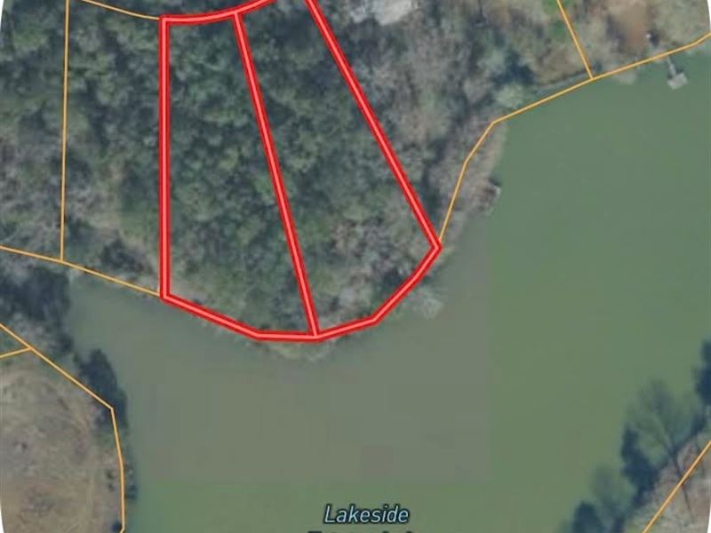 2 Platted Lots Totaling 1.1 Acre : Geneva : Geneva County : Alabama